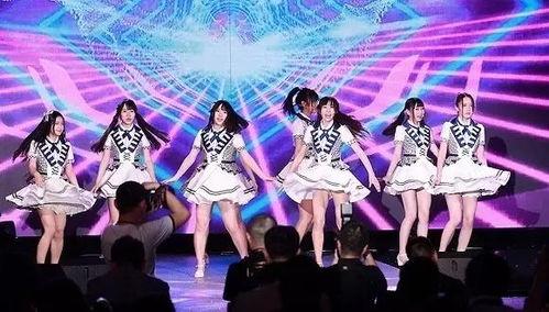网红表演的评论怎么写,揭秘网络红人的魅力与争议