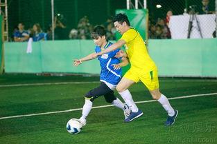 明星体育运动,体育竞技场上的璀璨星光