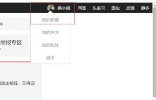 怎么找到头条收藏的资料,揭秘收藏资料搜索技巧