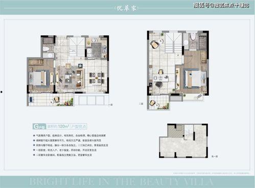 头条房子户型图,揭秘头条房子布局与空间利用之道”