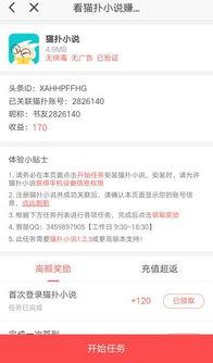 东方头条里怎么写小说,揭秘小说生成背后的秘密