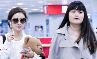 怎么做明星的助理