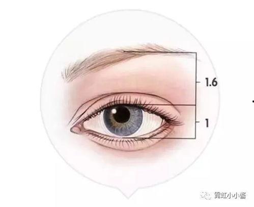 明星眉眼间距,魅力之源的秘密解析