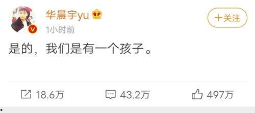 娱乐圈爆料的晋江文