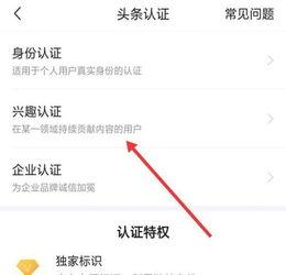 头条上怎么没有任务管理,探索个性化任务管理新方案