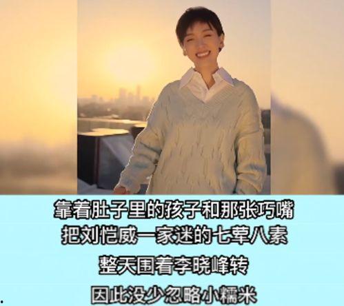 港媒爆料李晓峰视频,真相与争议交织