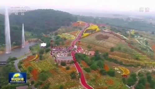 新泰市新闻头条下载,聚焦城市发展新篇章