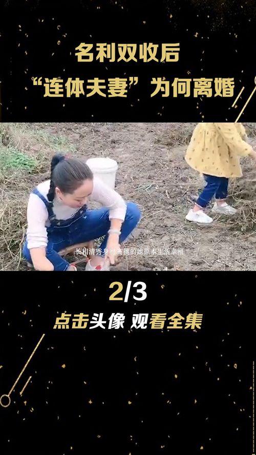 网红断臂啊毛离婚了,离婚背后的故事