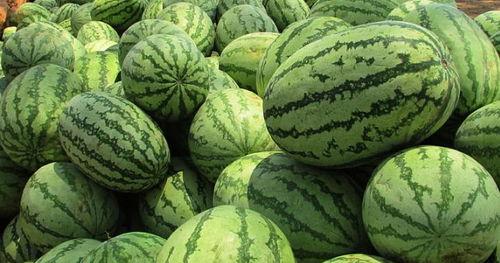 梦到吃特别大的瓜,瓜果盛宴，揭秘梦中大瓜的秘密