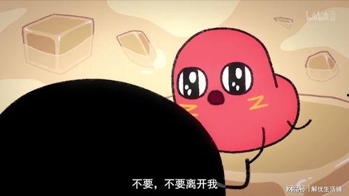 主角喜欢吃瓜,主角的甜蜜瓜缘之旅