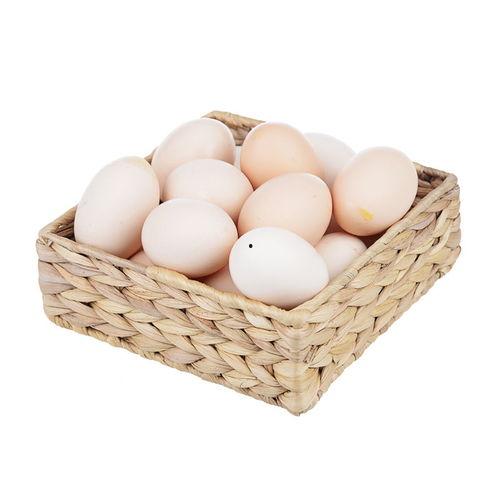 今日头条土鸡蛋养殖,绿色健康，传承传统养殖智慧