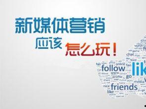 绍兴头条新媒体运营待遇