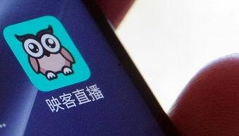 明星映客号是多少,探寻明星们的网络魅力所在”