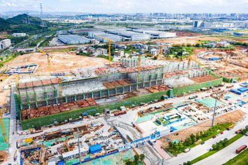 增城新塘镇今日新闻头条,聚焦今日热点，共话发展新篇章